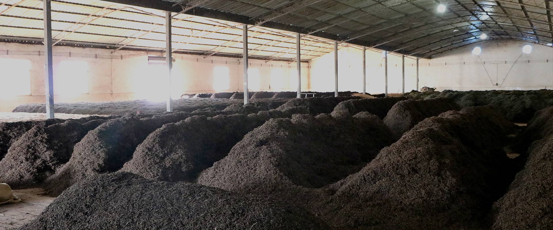 蒸發(fā)冷省電空調(diào)-環(huán)保空調(diào)廠家生產(chǎn)車間 蒸發(fā)冷省電空調(diào)-環(huán)保空調(diào)廠家生產(chǎn)車間