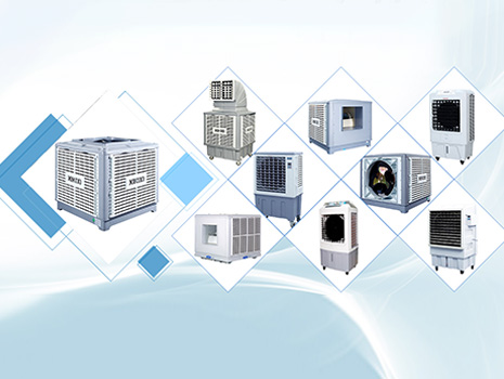 種類齊全 種類齊全